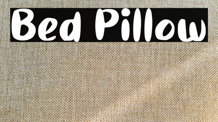 Bed Pillow Example 2