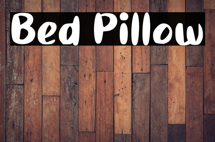 Bed Pillow Example 3