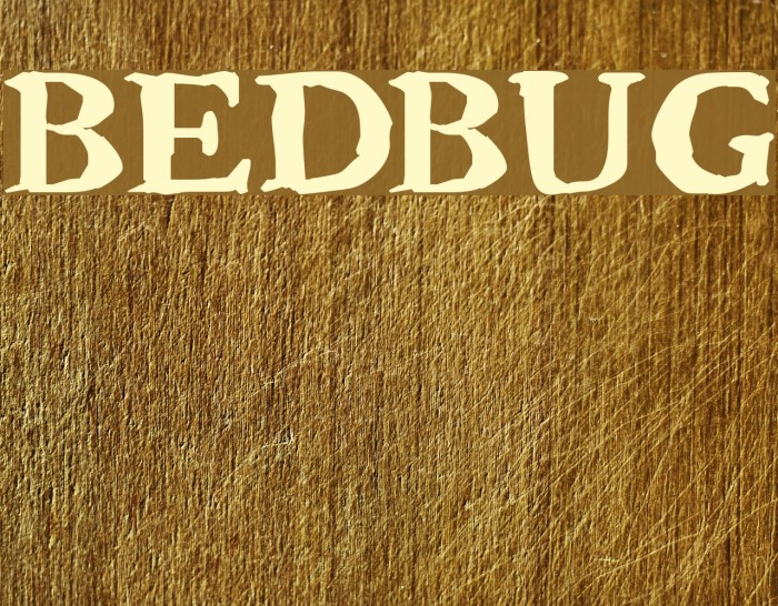 Bedbug Шрифта examples