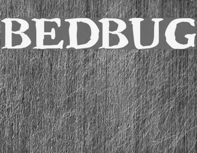 Bedbug Шрифта examples