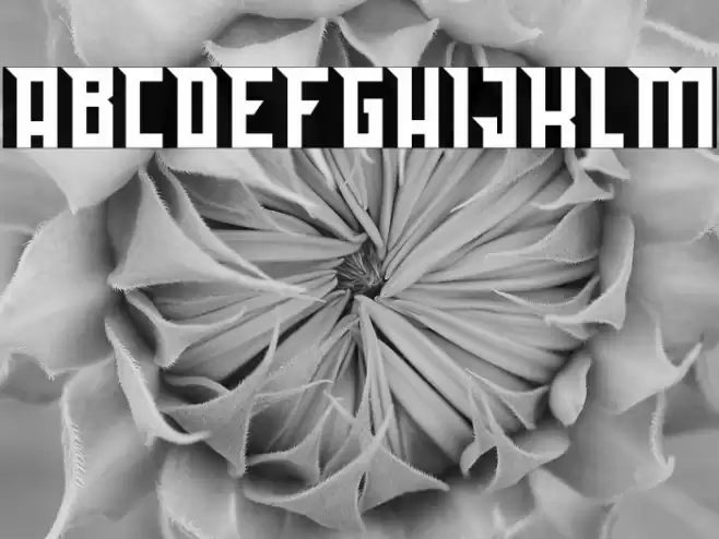 Bedebah Font examples