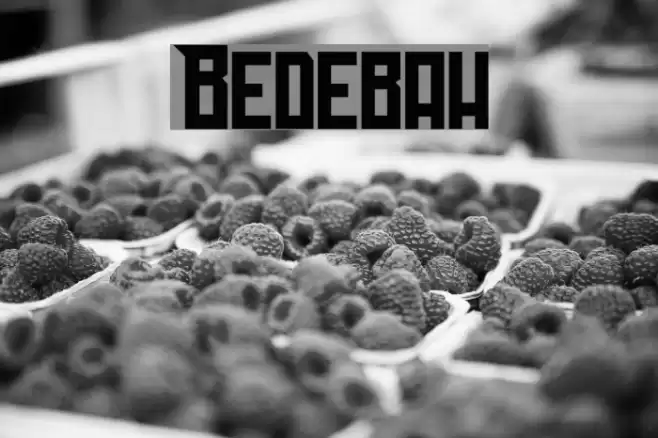 Bedebah Font examples