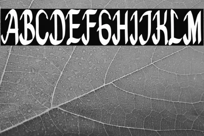 Bedeng Holis Font examples