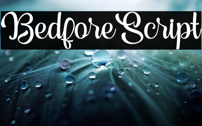 BedforeScript Example 2