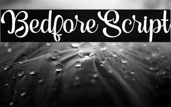 BedforeScript Font examples