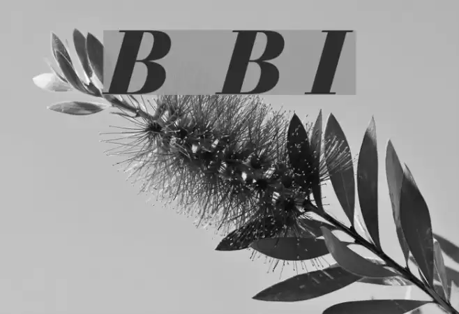 Bedini Bold Italic Font examples