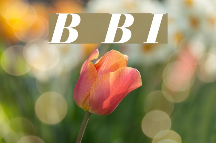 Bedini Bold Italic Font examples