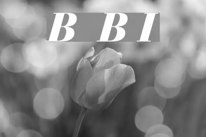 Bedini Bold Italic Font examples