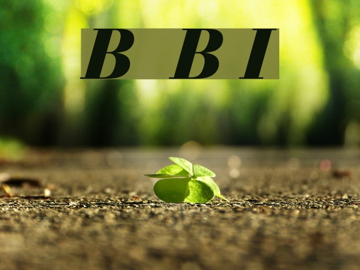 Bedini Bold Italic Font examples