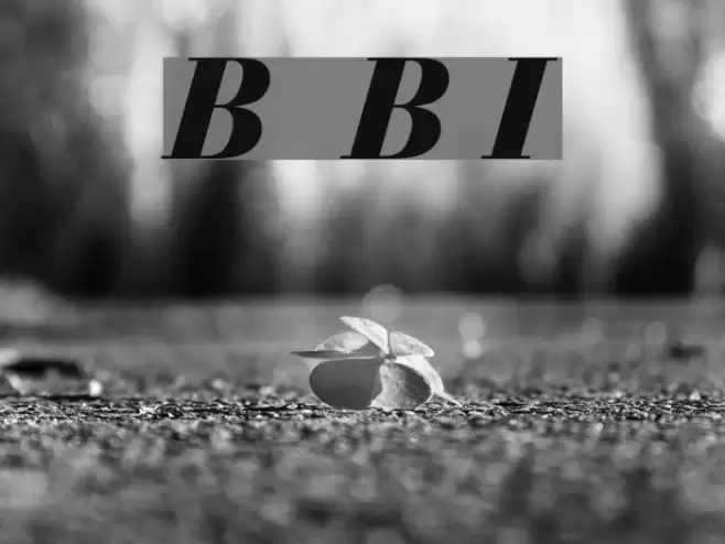 Bedini Bold Italic Font examples