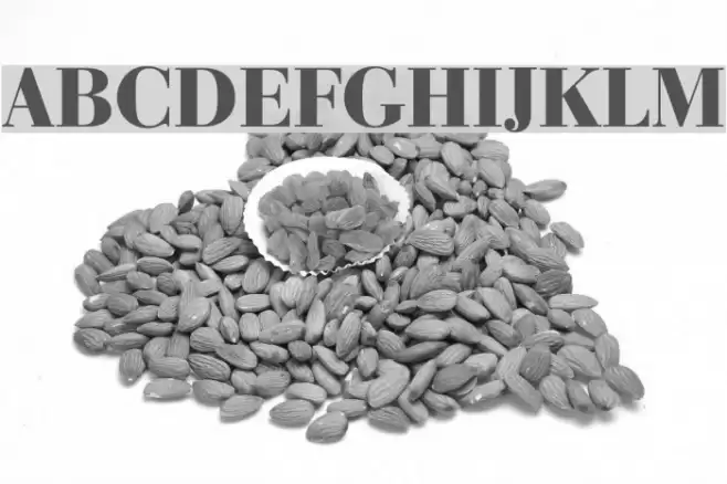 Bedini  Bold Font examples