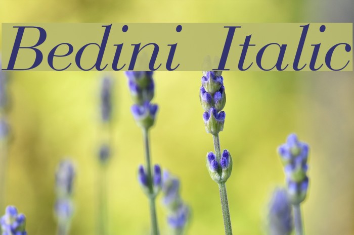 Bedini Italic Font examples