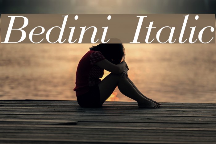 Bedini Italic Font examples