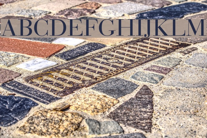 Bedini フォント examples