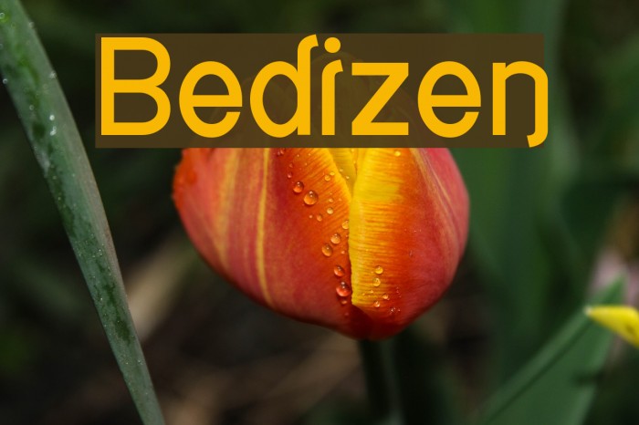 Bedizen Fonte examples