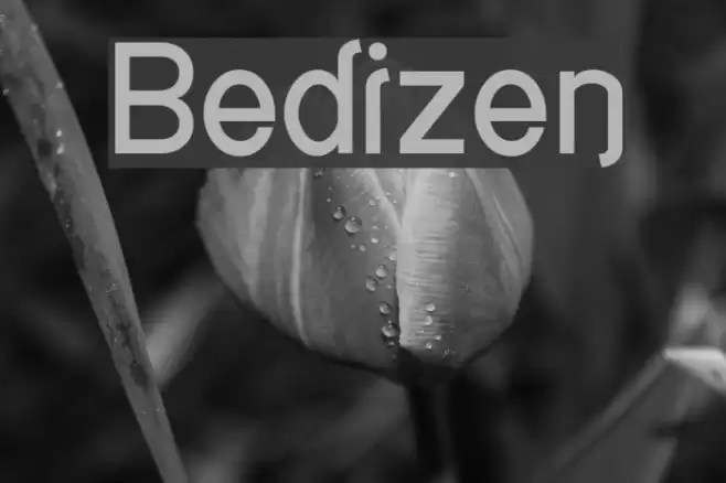 Bedizen Font examples