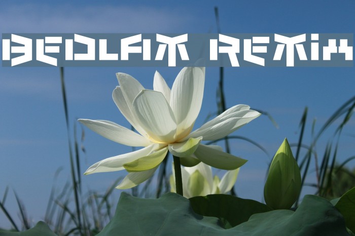 Bedlam Remix Font examples