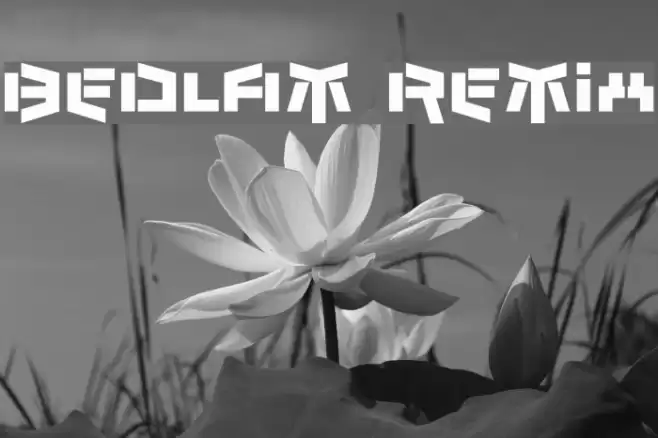 Bedlam Remix フォント examples
