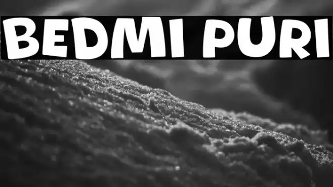 Bedmi Puri Font examples