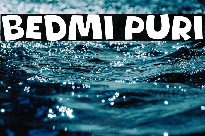 Bedmi Puri Example 2