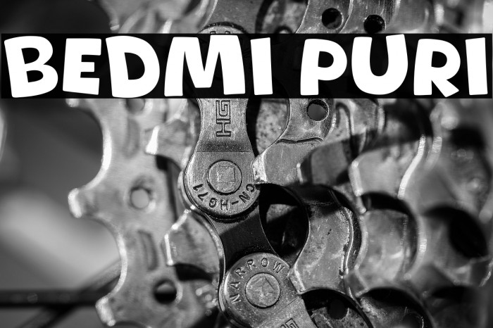 Bedmi Puri Example 3