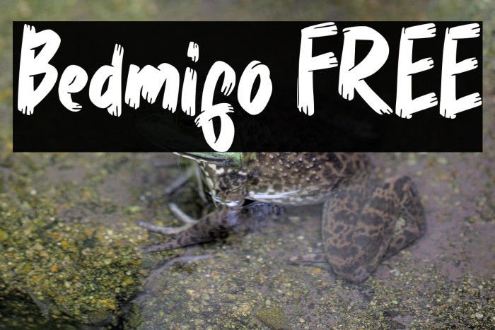 Bedmifo FREE Example 2