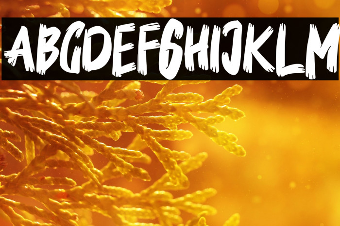 BedmifoFREE Example 1