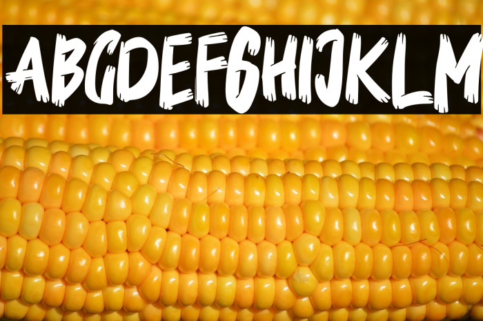 BedmifoFREE Example 2