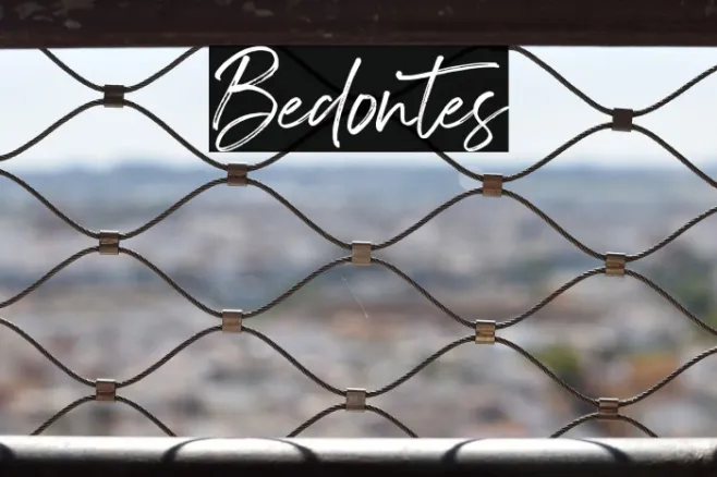 Bedontes Example 2