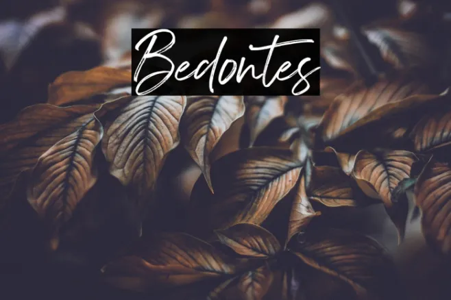 Bedontes Example 3