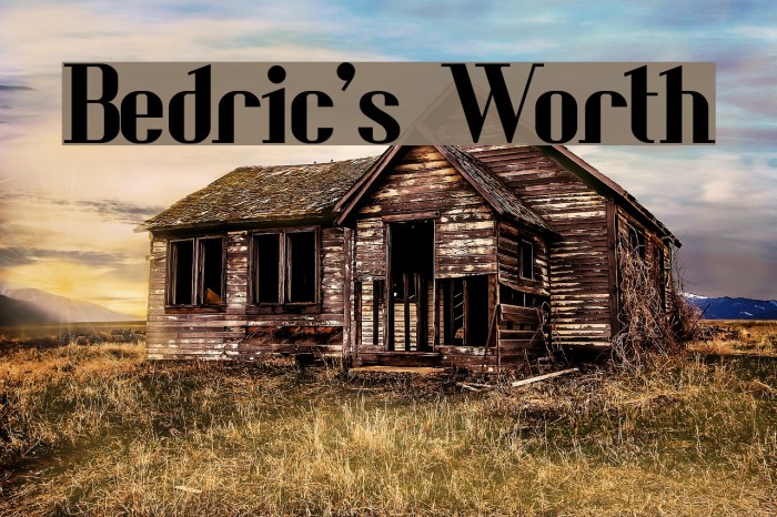 Bedric's Worth Font examples