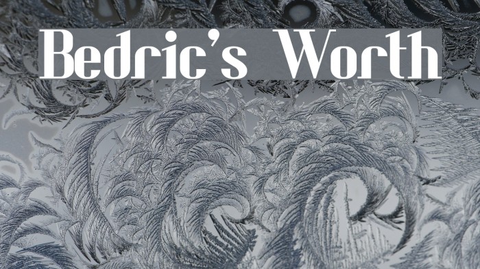 Bedric's Worth Font examples