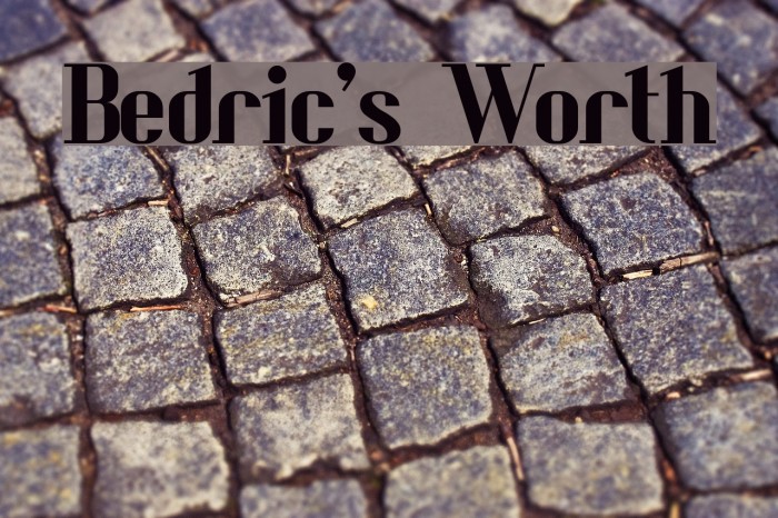 Bedric's Worth Font examples