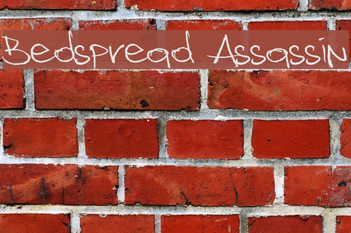Bedspread Assassin Font examples