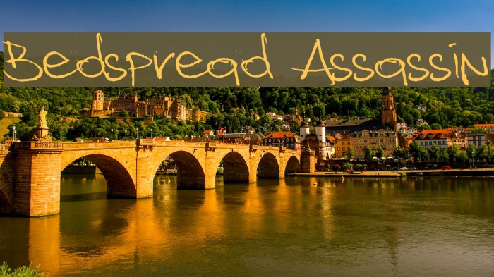 Bedspread Assassin Font examples