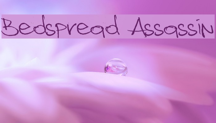 Bedspread Assassin Font examples