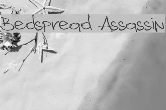 Bedspread Assassin Font examples