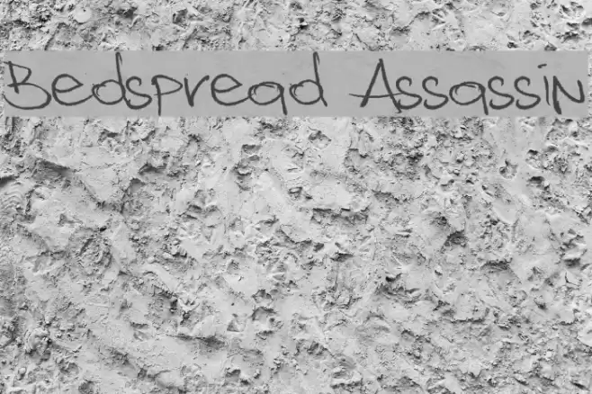 Bedspread Assassin Font examples