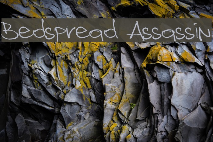 Bedspread Assassin Font examples