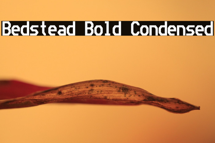 Bedstead Bold Condensed Example 3