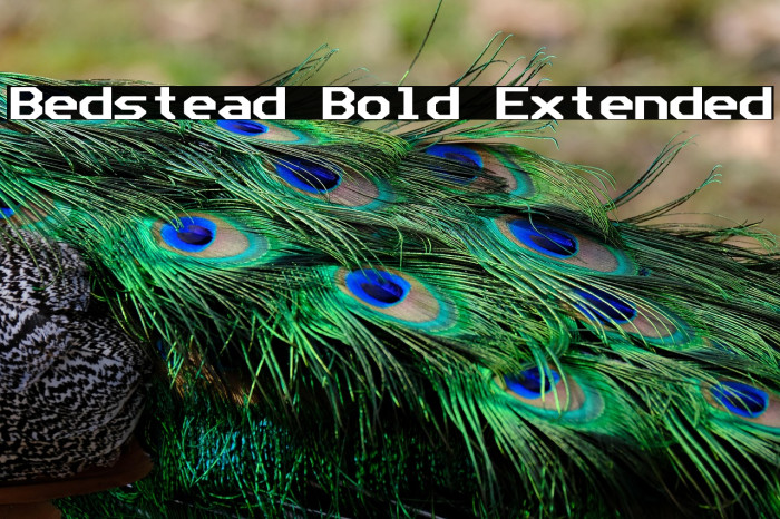 Bedstead Bold Extended Example 2