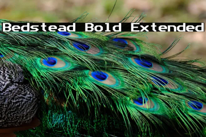 Bedstead Bold Extended Example 2