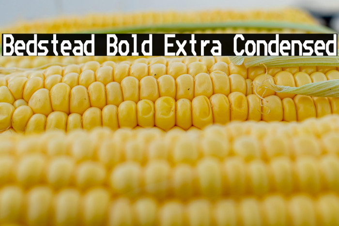 Bedstead Bold Extra Condensed Example 1