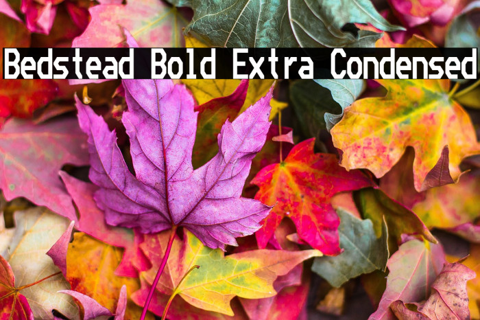 Bedstead Bold Extra Condensed Example 3