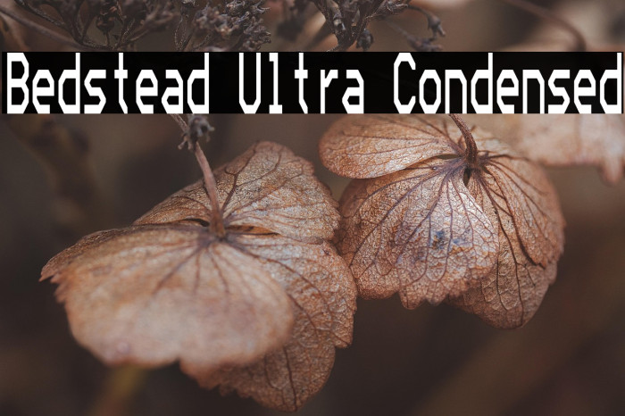 Bedstead Ultra Condensed Example 2