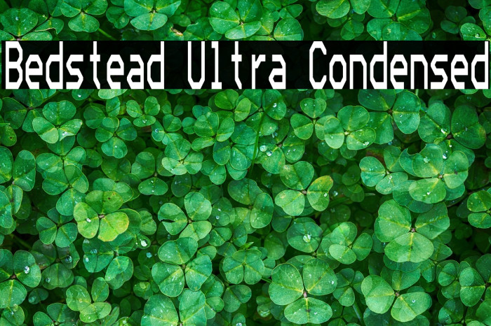 Bedstead Ultra Condensed Example 3