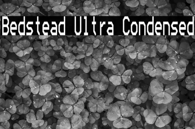 Bedstead Ultra Condensed Font examples