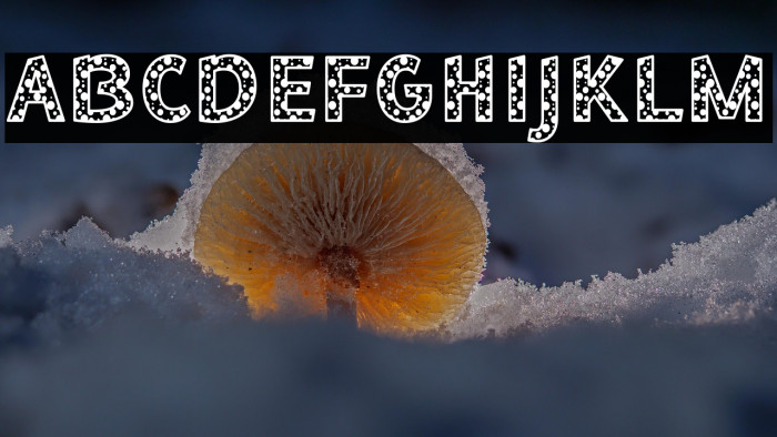 Bee Dotty Regular Example 1