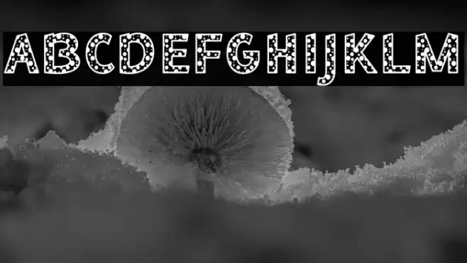 Bee Dotty Regular フォント examples