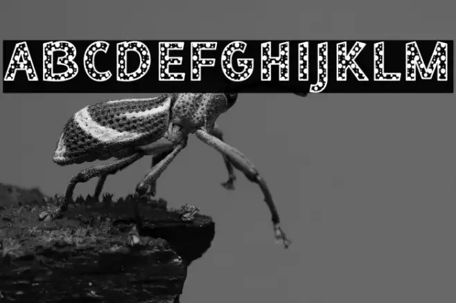 Bee Dotty Regular フォント examples